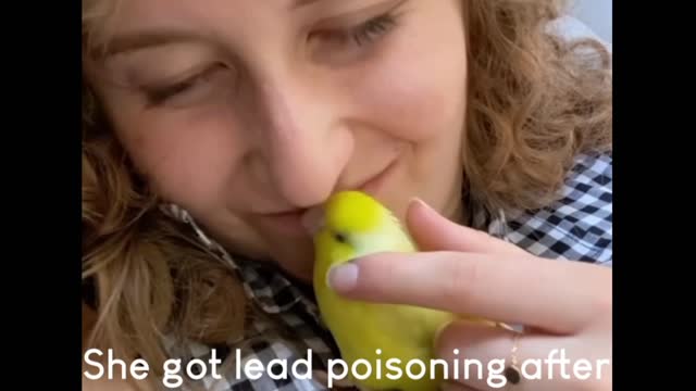 This is me and my parrot funny show