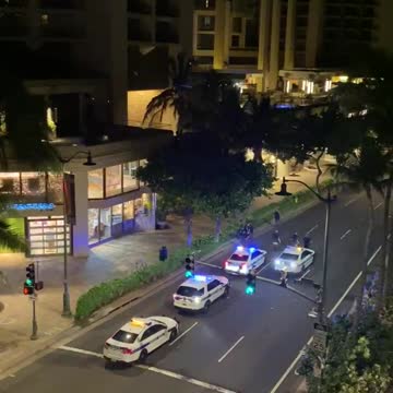 Girl fights off cops and screams for help