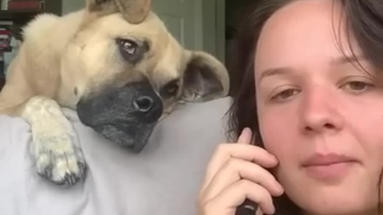 Dog gets excited when owner uses words he recognizes