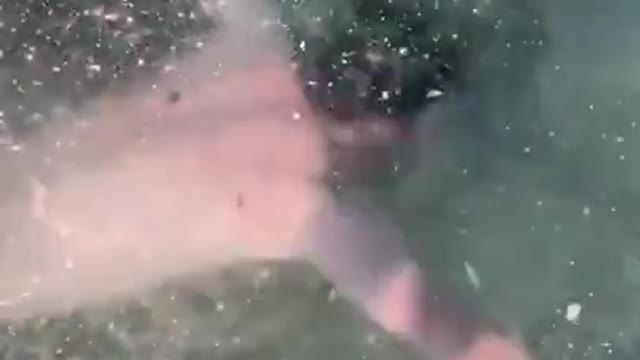 Swimming under ice