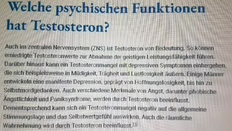 Welche psychische Funktionen hat Testosteron ?