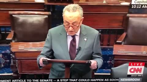 Chuck Schumer accuses Donald Trump of inciting an ERECTION