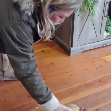 Armadillo founds it's buddy