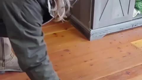 Armadillo founds it's buddy