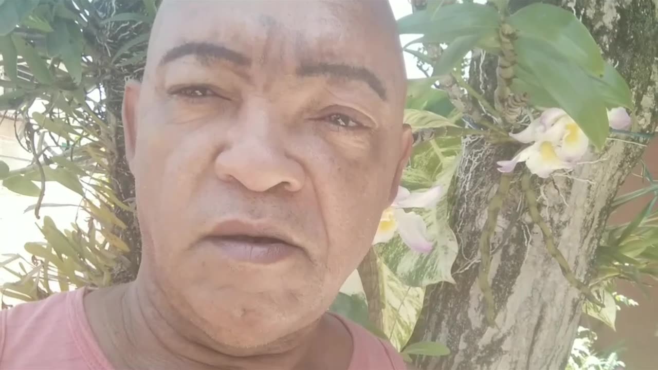Cenas da Guerra 08/10/23.