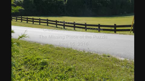 CalvinSmith-Creation Ministries-Genesis-The Missing Piece