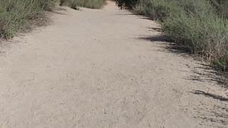 Hike Pt 1