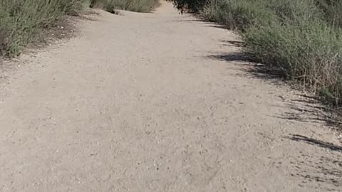 Hike Pt 1
