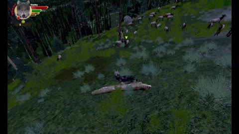 WolfQuest AE Elk Round Challenge - 06