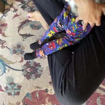 Tea Time With Kitty Cat