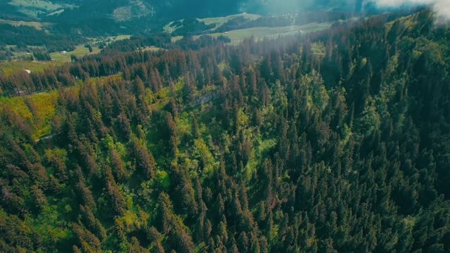 Beautiful Forest in a view of eagle with amazing mountain range