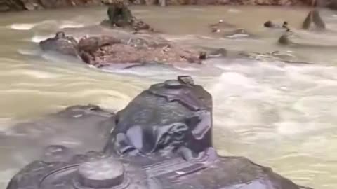 Guatemala found parts of something that crashed, locals claim that it is a UFO👀👀😎👌