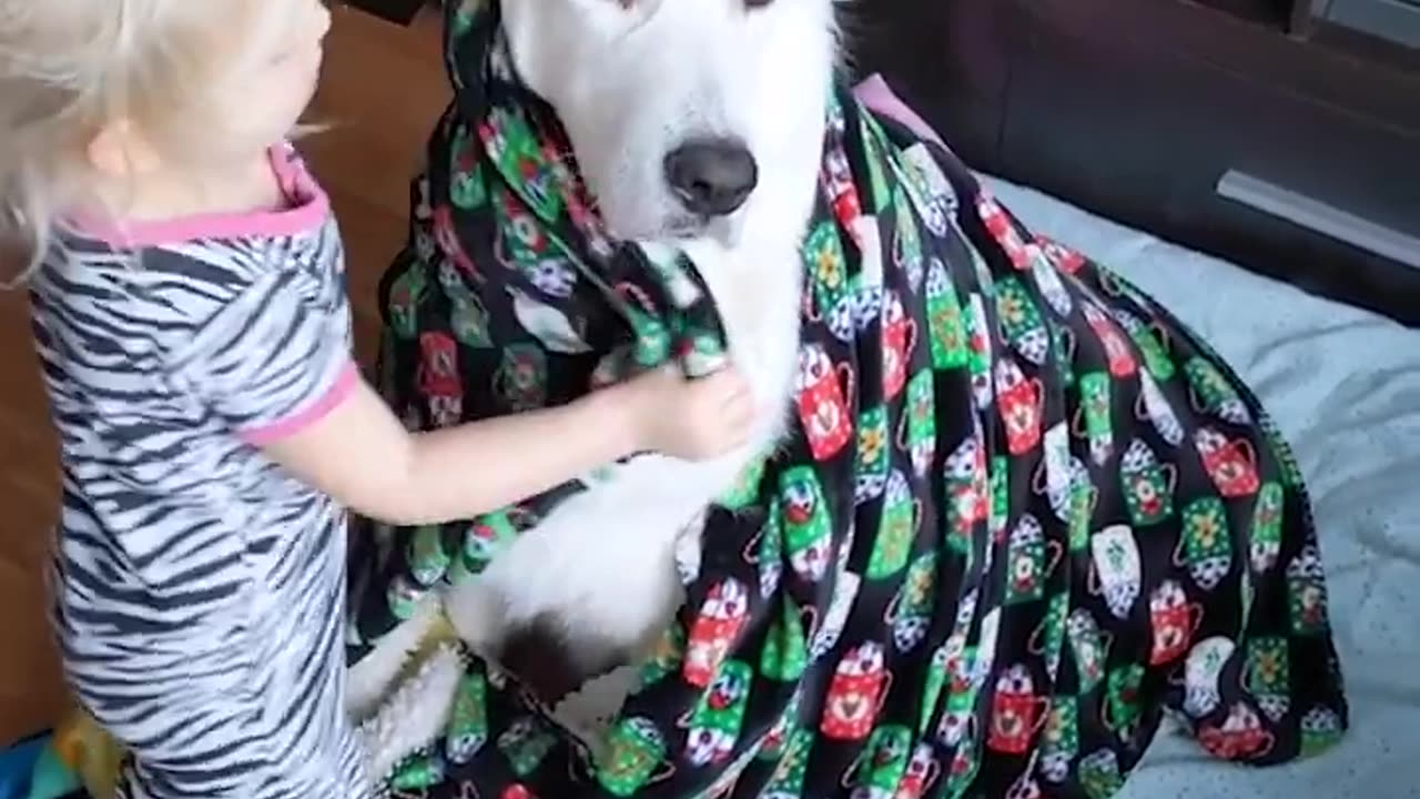 Toddler Gives ADORABLE Dog Fashion Makeover!