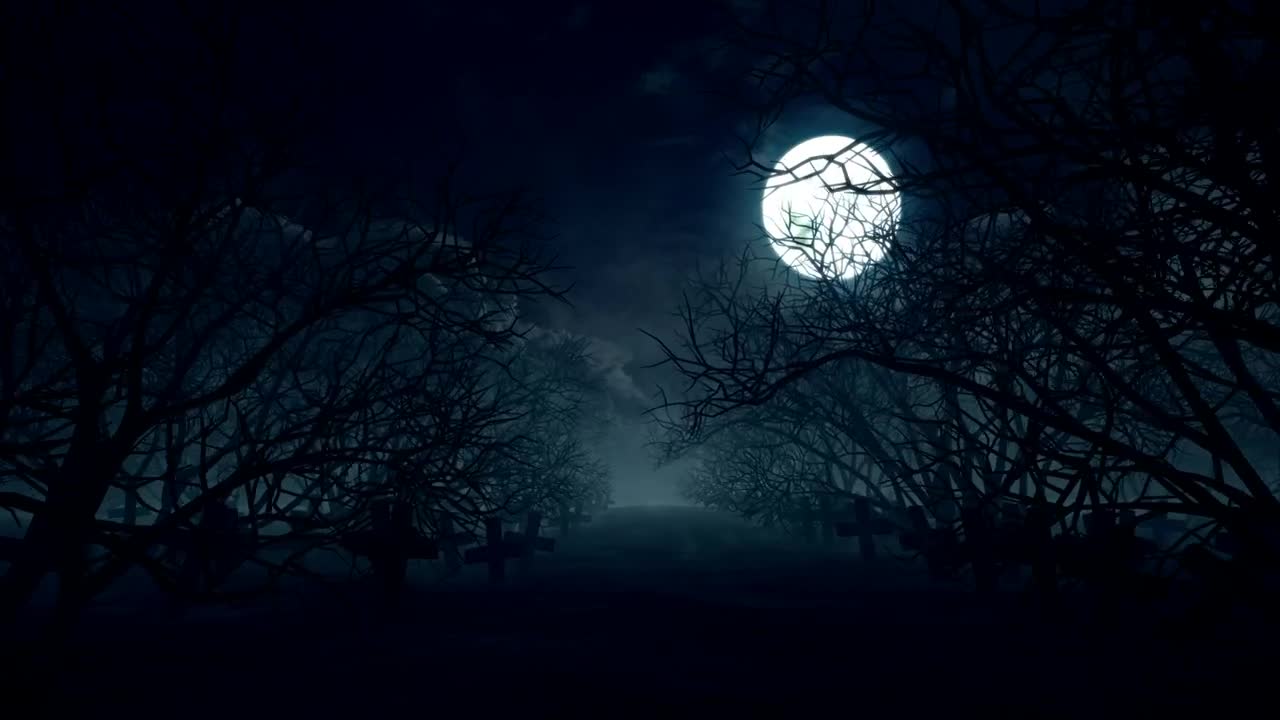 MOST BEUTIFUL NIGHT MOON WALKING VIDEO !!!