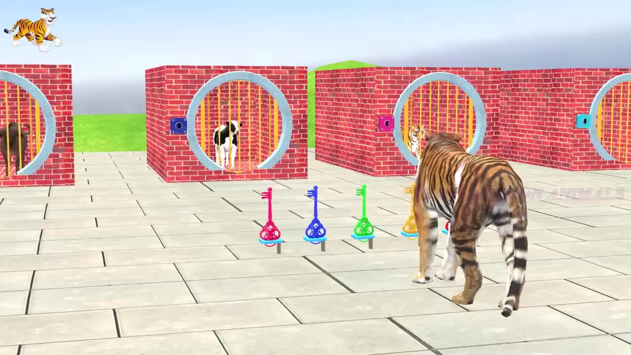 Animal vedio follow for more videos and intertaiment
