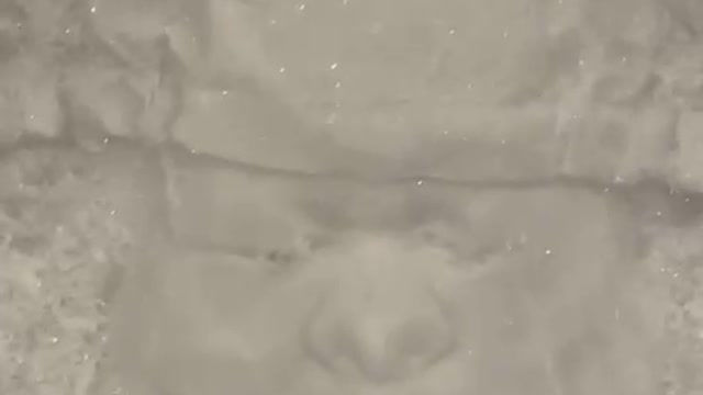 Faces in the snow part 2
