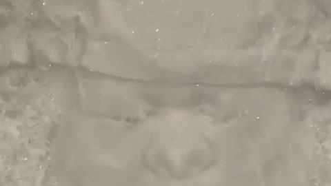 Faces in the snow part 2