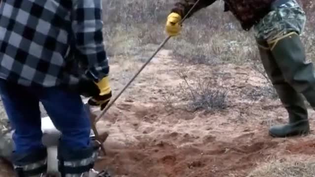 Rescue wild animals when stepping on hunters' traps