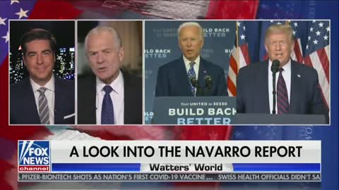 Peter Navarro on his Election Fraud report!