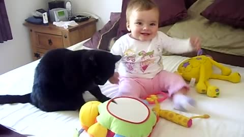 Black cat and Baby