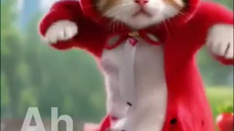 The Internet’s Funniest Cats Are Back – Watch Now