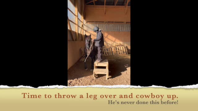 Michael Locke - a new Vaquero
