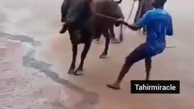 Raidr