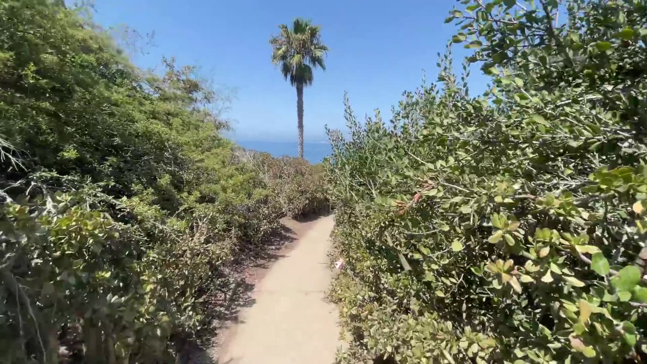 La Jolla California Tour