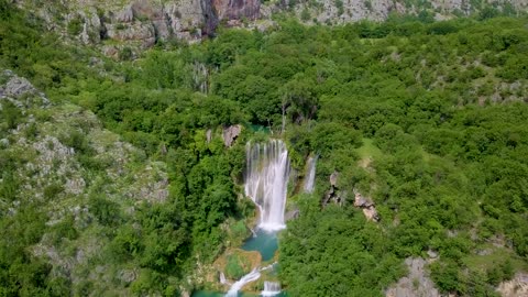 Live Nature 2