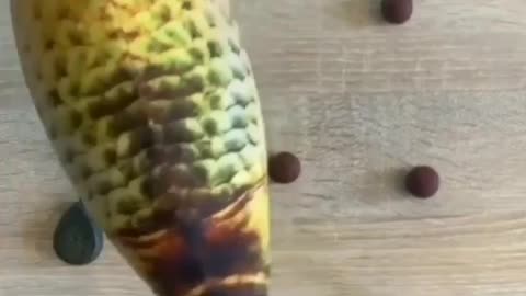 This is a beautiful and charming water-dwelling species