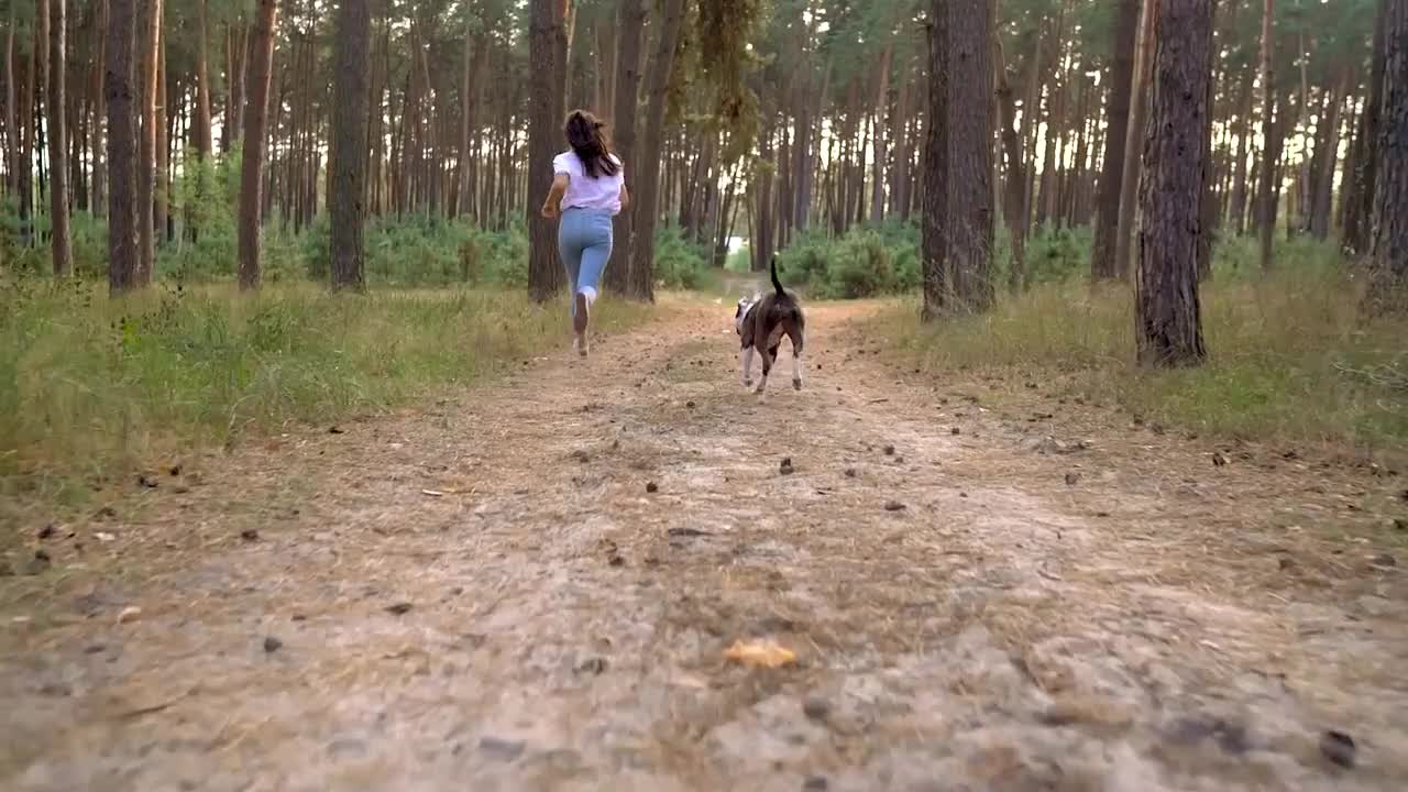 Girl playing with her dog in the forest at sunset
