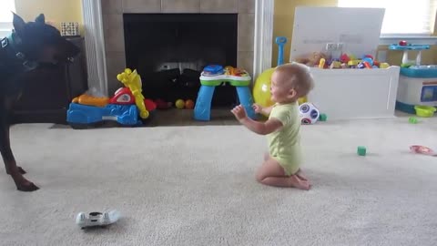 Dogs, playing a baby