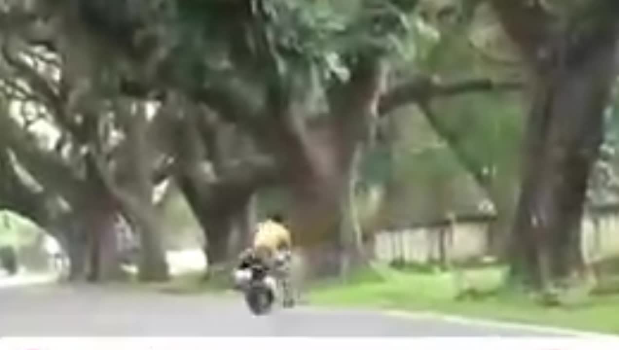 Movement speed