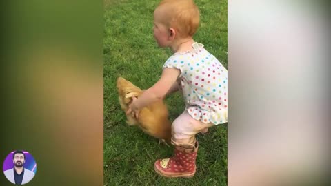 Funny and Cute Baby Moments Funny Baby Reaction When Play with Chicken _ Funny Videos