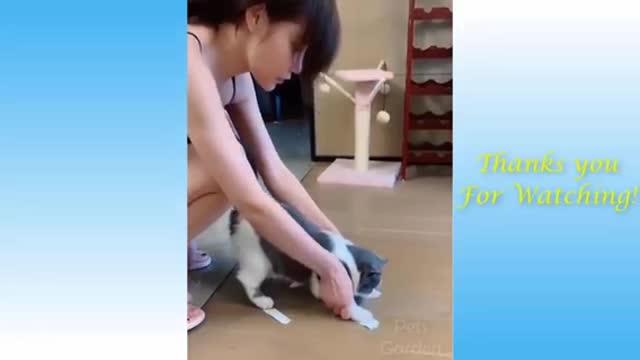 Pets funny moments compilation