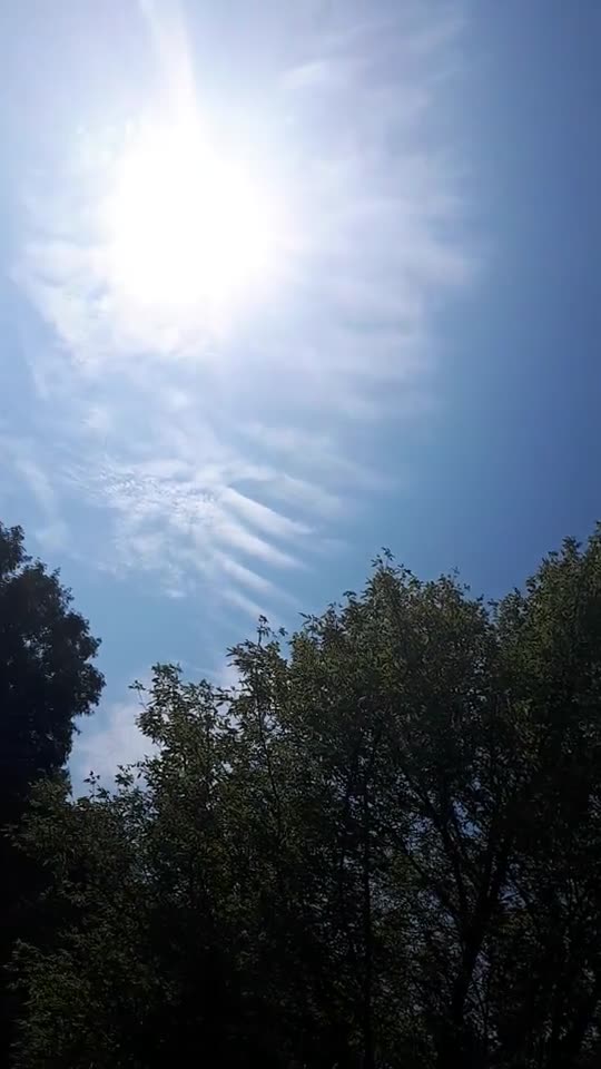 Himmel in Berlin am 19.08.2023 um 10:49 Uhr