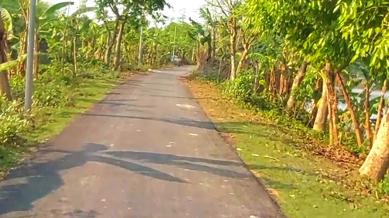 beautiful video