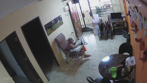 Hallback afternoon 15 June 2021
