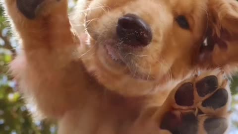 This is Bear 3 months of 5 year
