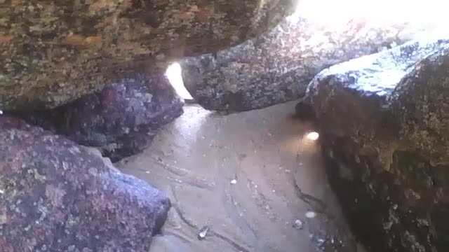 Gravando dentro das pedras na praia, é muito estreito e apertado [Nature & Animals]