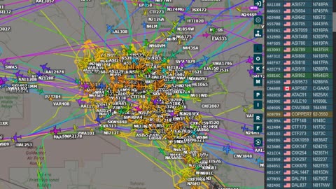 Bird Mafia Utah Invasion Data for Nov 20th 2024 - super slow with audio -