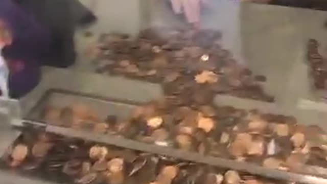 Woman Pays Massive Water Bill With Pennies