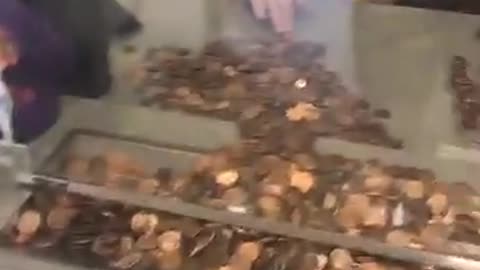 Woman Pays Massive Water Bill With Pennies