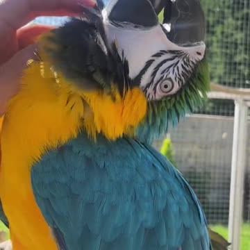 🥰the kids🥰the kids