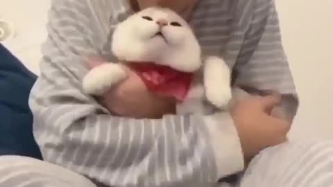 OMG 😱 cute cat 😱😘😘