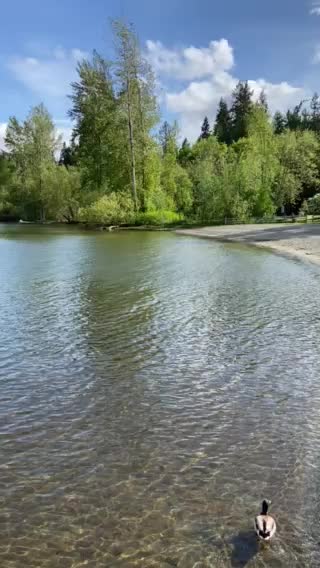 More of Lake Sammamish