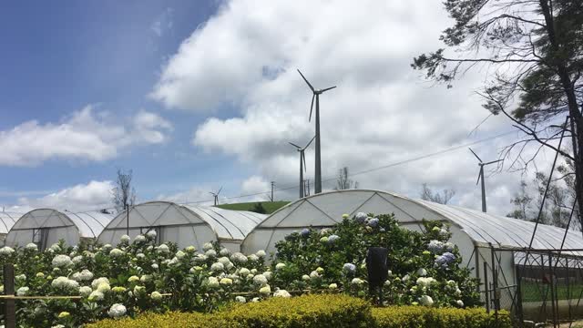 Breath taking view of Nuwara Eliya Wind mills - Sri Lanka