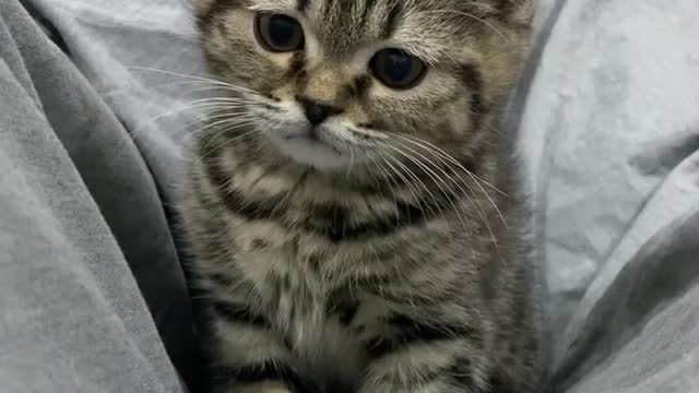 Cute 🥰 cute