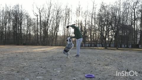 A women giving training her dog