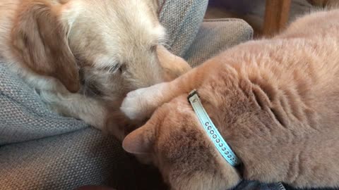 Best mates